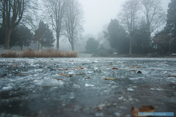 photo 4_winter eis frost schlosspark teich wallpaper weinheim jahreszeiten 