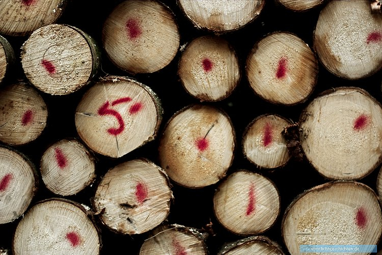 photo 5 abstrakt fünf holz wallpaper flora stapel 