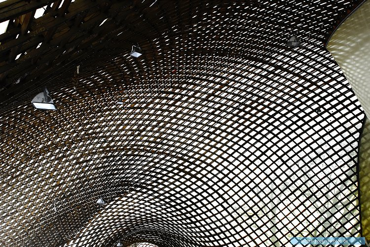 photo herzogenriedpark mannheim monochrom multihalle themen linien bogen netz weitwinkel 