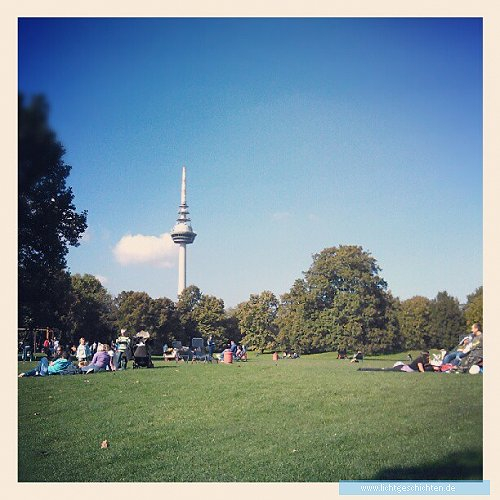 photo themen instagram the_bucki luisenpark mannheim turm wiese smartphone 