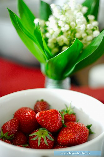 photo erdbeeren frucht rot genuss 